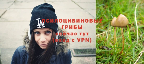 a pvp Абинск