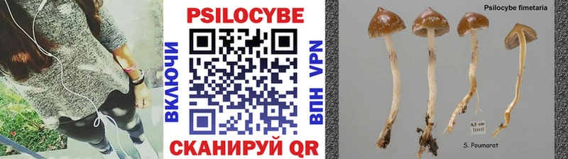 Псилоцибиновые грибы Magic Shrooms  Хилок 